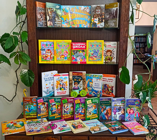 bibliotechnaya lineyka1