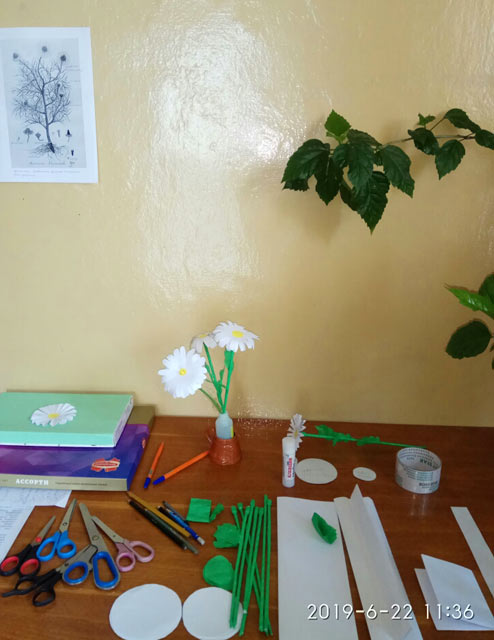 Letneye nastroyeniye1