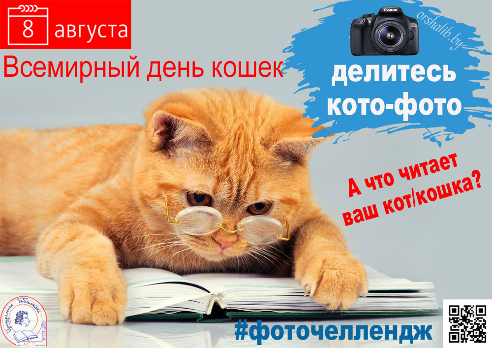 Vsemirnyy den koshek chellendzh
