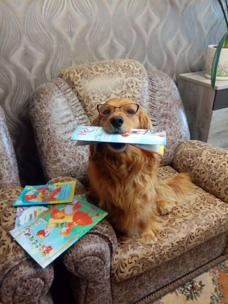 Bibliopozitiv2020 24