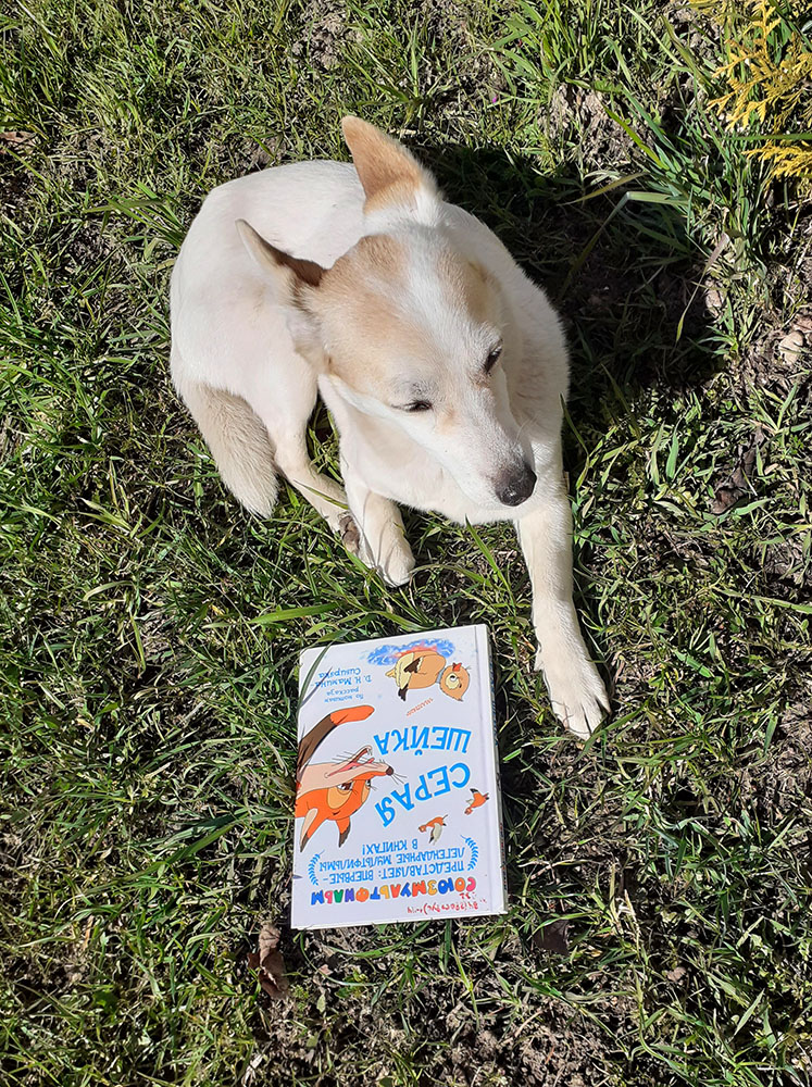 Bibliopozitiv2020 32