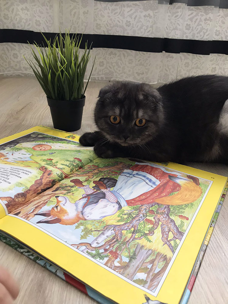 Bibliopozitiv2020 37