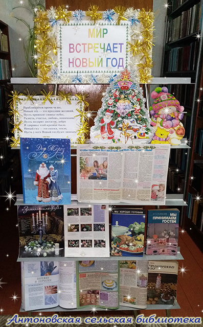 novogodniye vystavki3