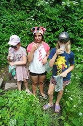 rodniki maloy rodiny