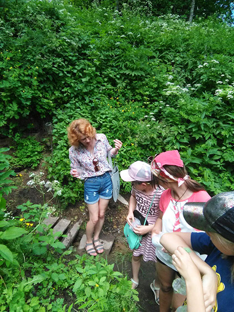 rodniki maloy rodiny1