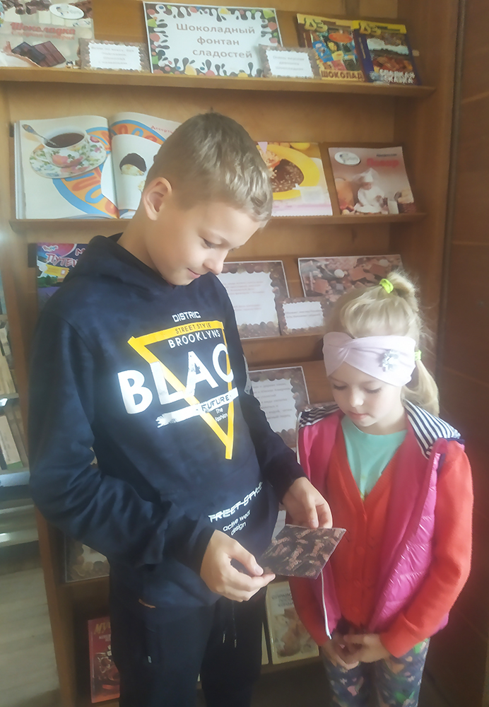 Shokoladnyy fontan sladostey 6