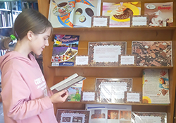 Shokoladnyy fontan sladostey