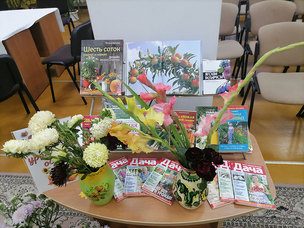 kraski urozhaynoy oseni4