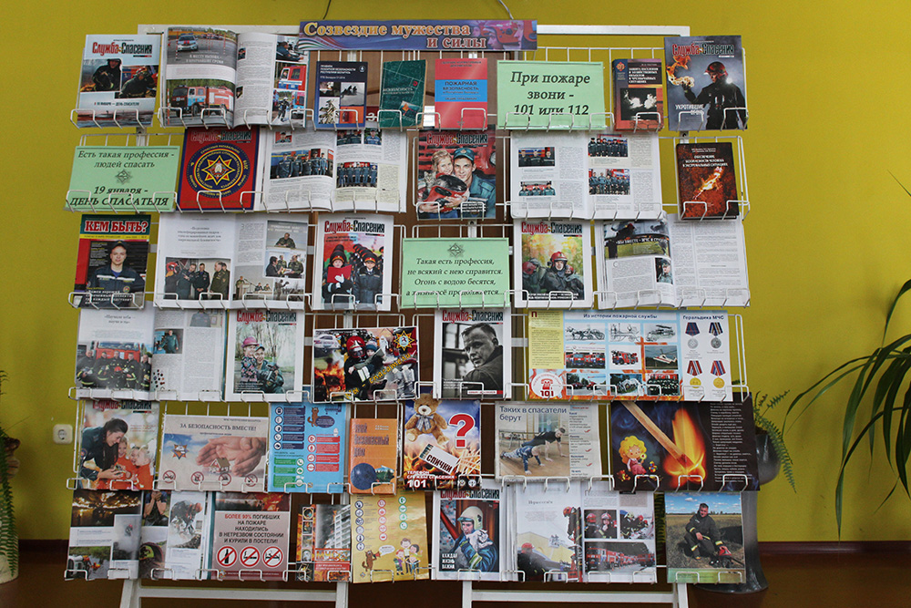 sozvezdiye muzhestva i sily3