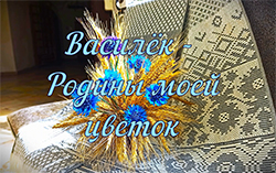 Vasilok rodiny moyey tsvetok