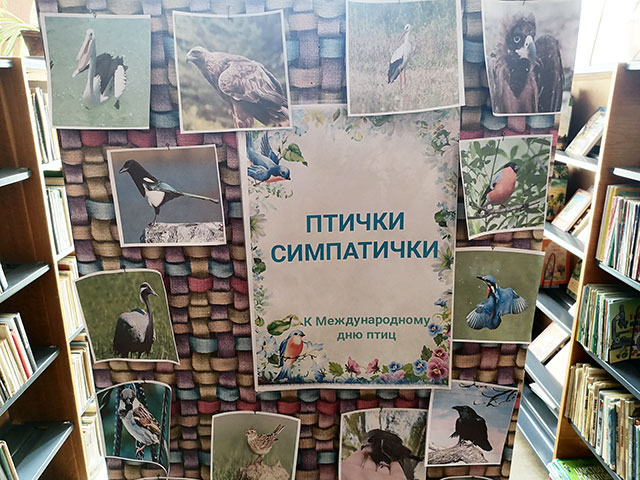 ptichki simpatichki4