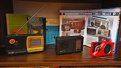 uley v kotorom zhuzhzhit ves mir