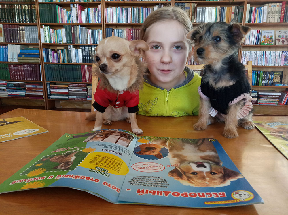 Bibliopozitiv2020 18